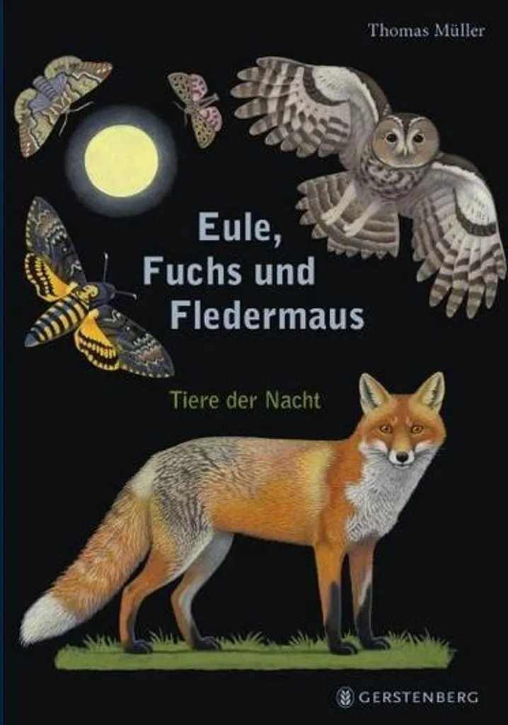 Chouette Renard et Chauve-souris : Trio de Peluches Douces pour Bébé