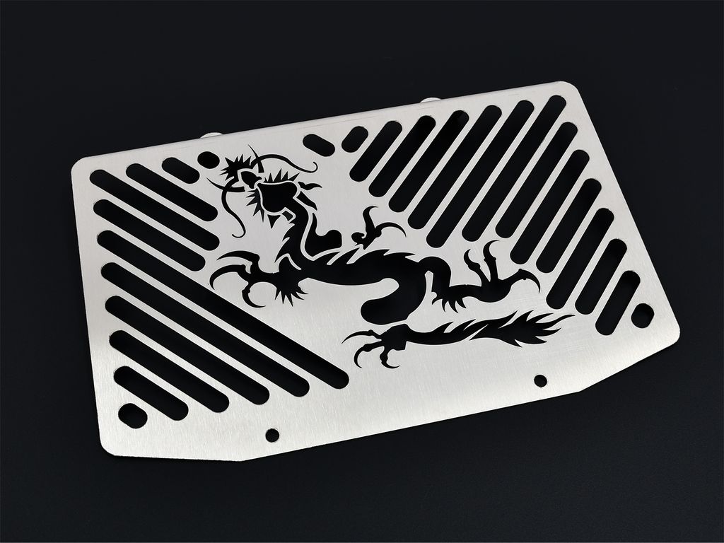 ZIEGER Kühlerabdeckung kompatibel mit Kawasaki ER-6 n | f BJ 2005-08 Dragon silber