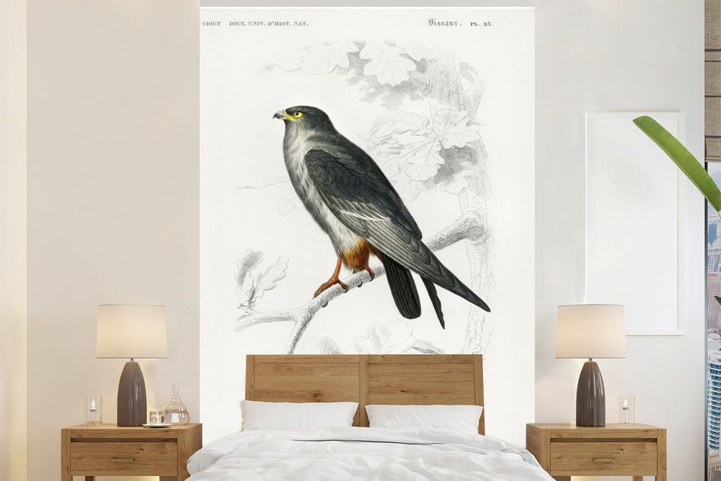 MuchoWow Fototapete für Wohnzimmer oder Schlafzimmer Wandtapete Vinyl Motivtapete Vogel - Jahrgang - Falke - 200x300 cm - Wanddekorationen