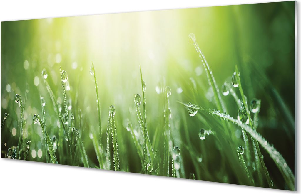Glasbilder 140x70 Wandkunst Grass Sonne Tropfen