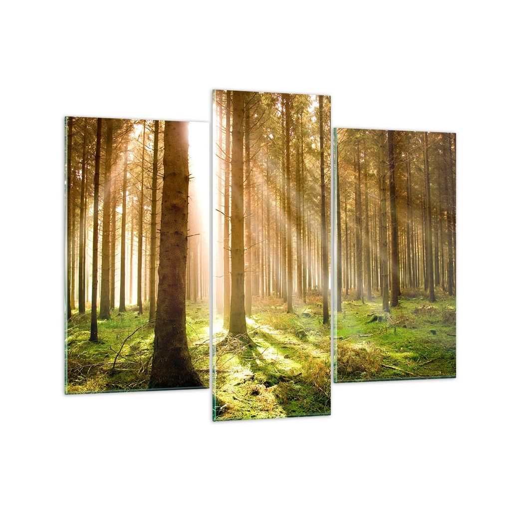 Bilder auf glas - Bäume Sonne Natur - 130x100cm - Glasbilder - Wandbilder - Kunstdruck - zum Aufhängen bereit - Wanddekoration aus Glas - Glas Bi...
