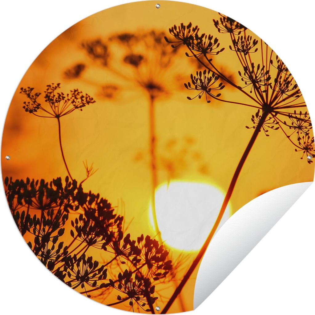 MuchoWow Gartenposter Outdoor-Poster Rund Pflanzen - Blumen - Sonnenuntergang - Orange Ø 150 cm Gartendeko Rundes Poster draußen