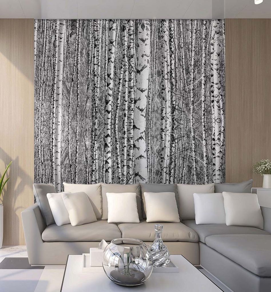 Fototapete Birkenwald, Material:Premium Vlies 150g/qm, Größe Tapete:455 x 260cm