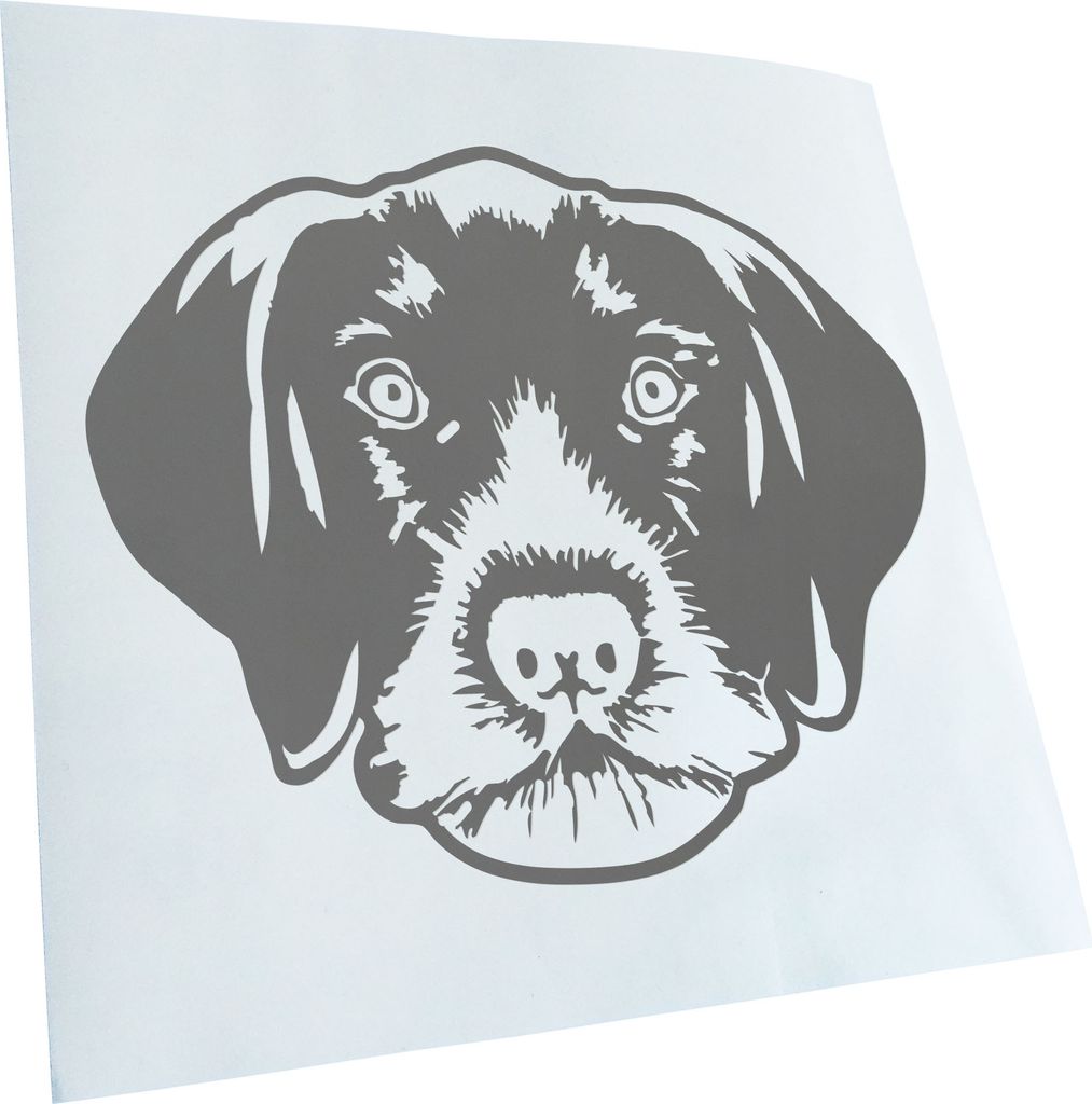Kiwistar - Autoaufkleber - German wirehaired pointer Hund - Grau - 50x42cm - Aufkleber für Auto, Laptop, Fahrrad, LKW, Motorrad mehrfarbig JDM Dec...