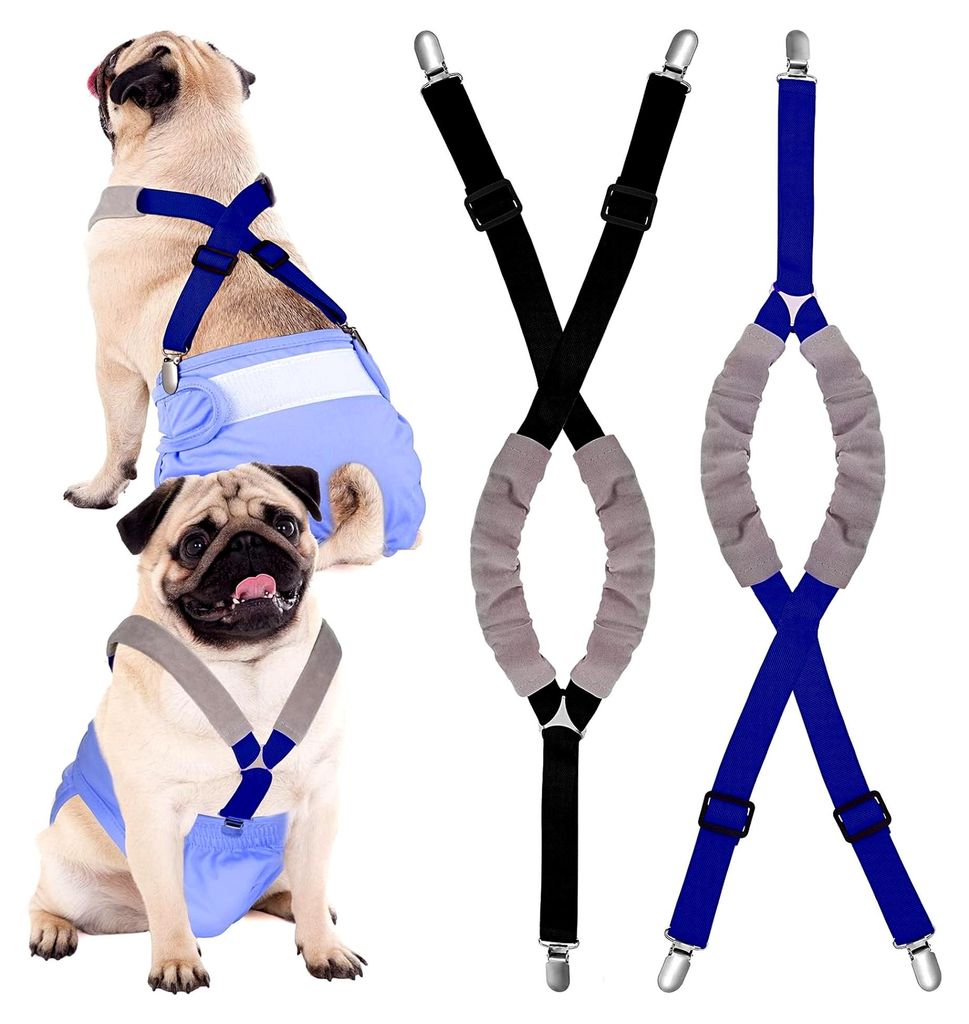 Hunde-Hosenträger für Windeln, geeignet für Hündinnen und Rüden, Hundegeschirr, hält Windel an deinem Haustier, für kleine, mittelgroße und...