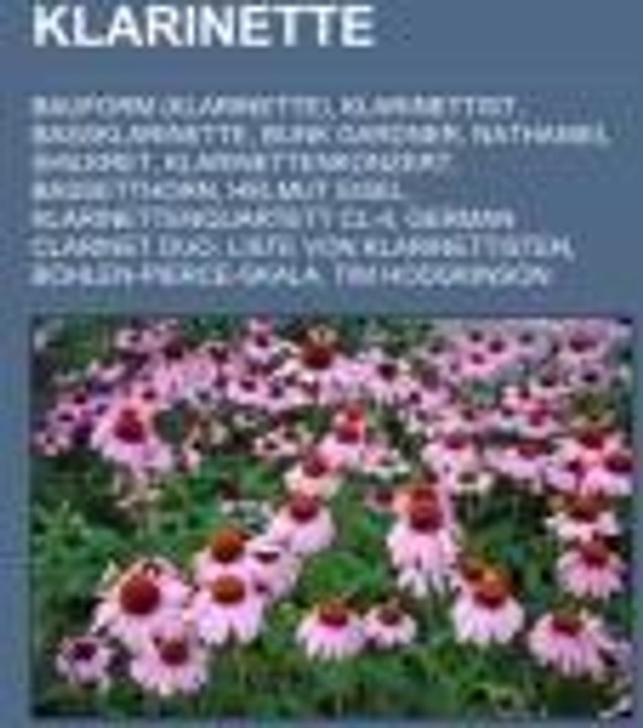 Klarinette