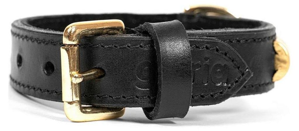 Collier pour chien Gloria Duna Noir Doré (50 x 2,5 cm) Image du produit 