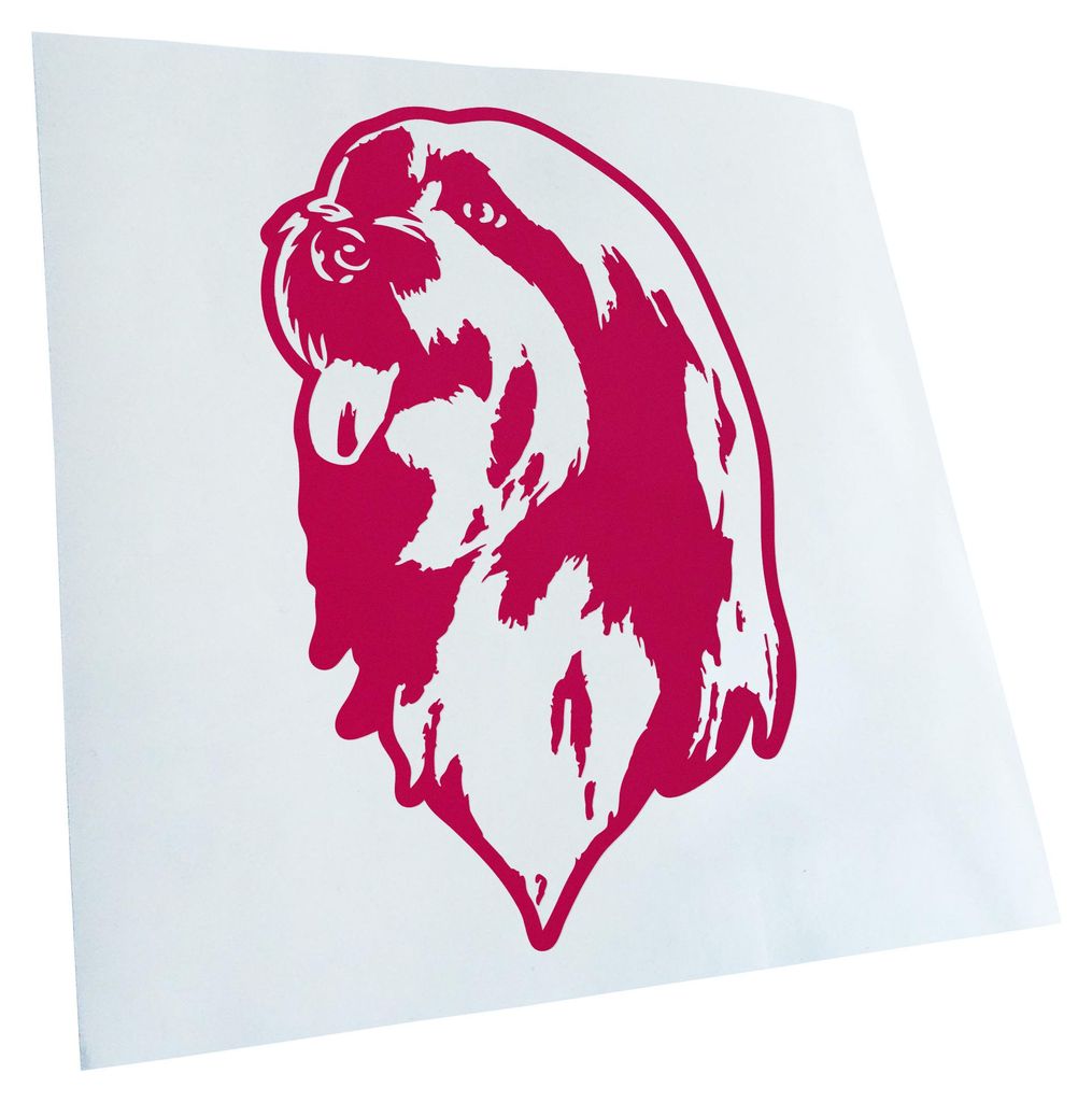 Kiwistar - Autoaufkleber - Bearded Collie Hund - Pink - 24x15cm - Aufkleber für Auto, Laptop, Fahrrad, LKW, Motorrad mehrfarbig JDM Decal Racing