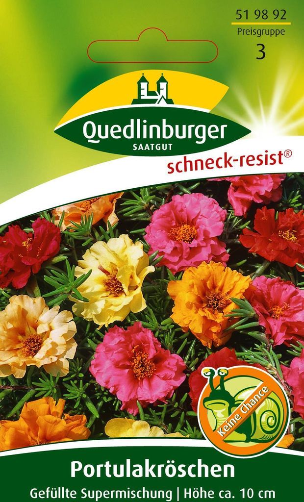 Quedlinburger Saatgut - Portulakröschen Gefüllte - Samen - 519892
