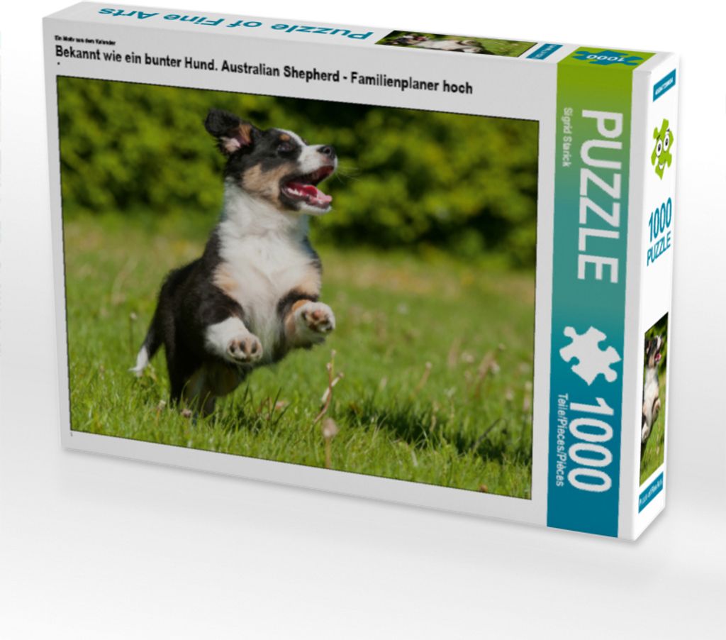 CALVENDO Puzzle Ein Motiv aus dem Kalender Bekannt wie ein bunter Hund. Australian Shepherd - Familienplaner hoch | 1000 Teile Lege-Größe 64x48cm...