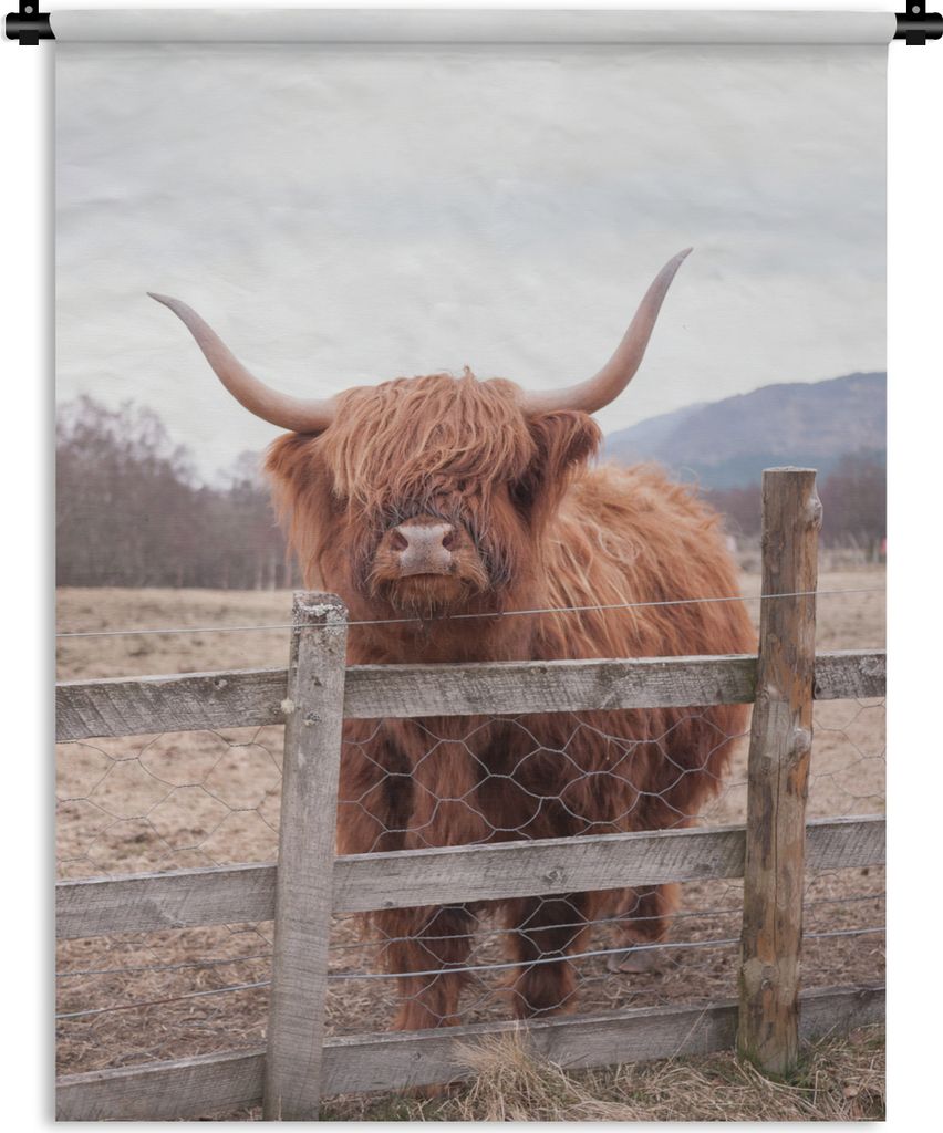 MuchoWow Wandteppich Wandbehang Scottish Highlander - Gras - Zaun 60x80 cm Tapisserie Dekoration Wandtuch - Decke - Wandtücher - Wohne