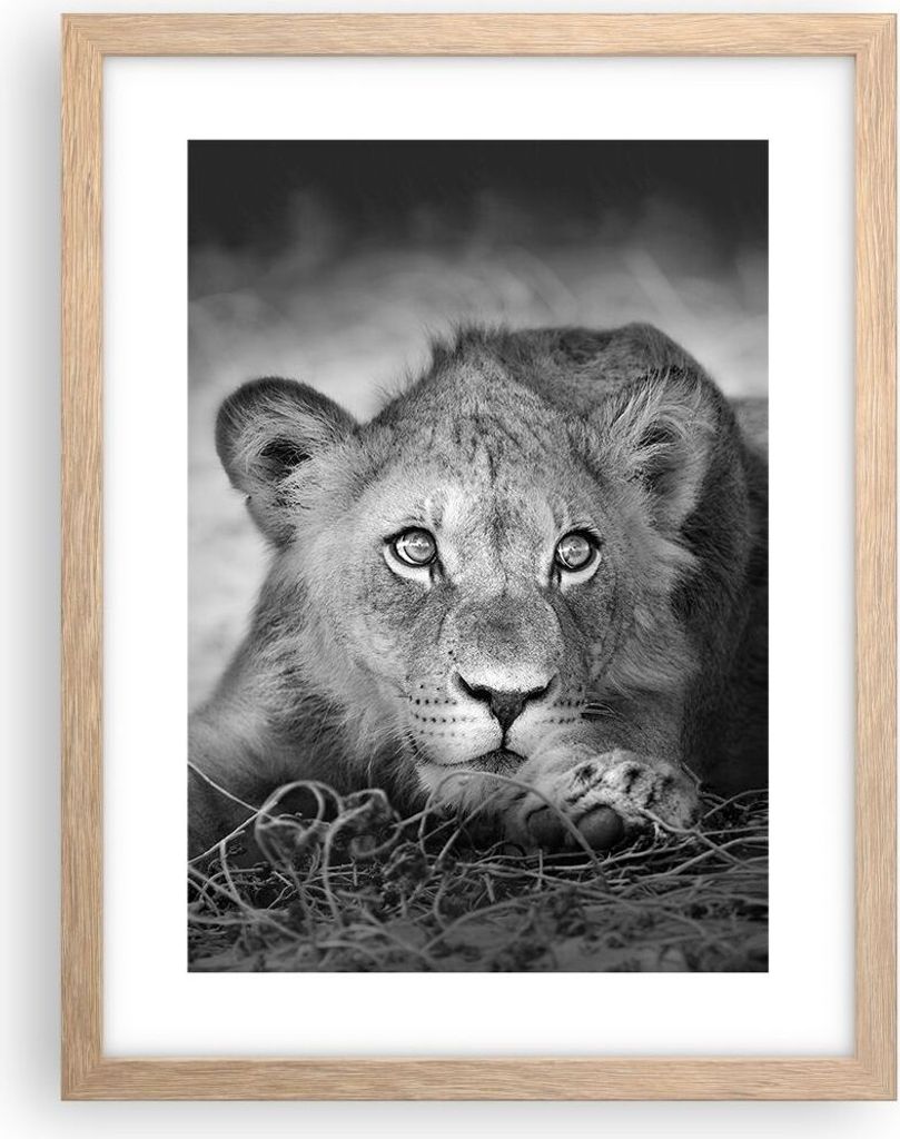 Gerahmtes Poster - Rahmen in heller Eiche - Löwe asiatisch Porträt - 30x40 cm - Wand Bild - Wanddeko - Wandbilder - Kunstposter - Wandposter - Bi...