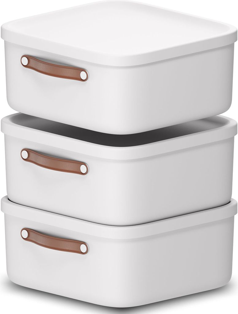 Rotho 3er-Set Aufbewahrungsbox 20 L Maloja - Kunststoffbox mit Deckel - Stapelbox 39,5 x 38,0 x 17,7 cm - Plastikbox Ordnungsbox Allzweckkiste