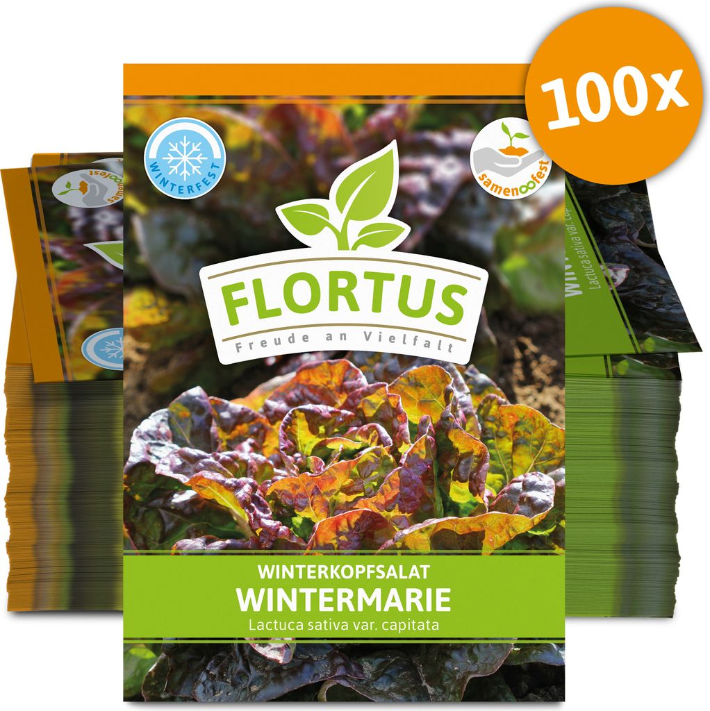 Winterkopfsalat Wintermarie (100 Tütchen) | Kopfsalatsamen von FLORTUS