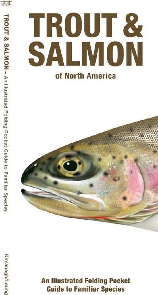 Forelle & Lachs Aus Nordamerika