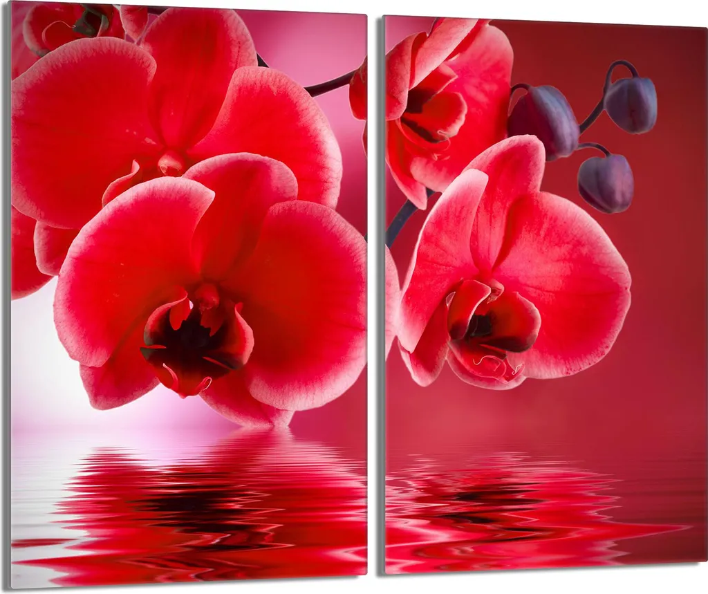 Set 2 Coprifornelli Vetro 30x52 Orchidea Rossa | Protezione e Stile