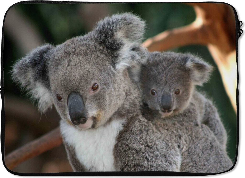 MuchoWow Laptop Hülle 13 Zoll Koalas - Vater - Sohn - Jungen - Mädchen Laptoptasche - Laptophülle - Sleeve - Rundumschutz