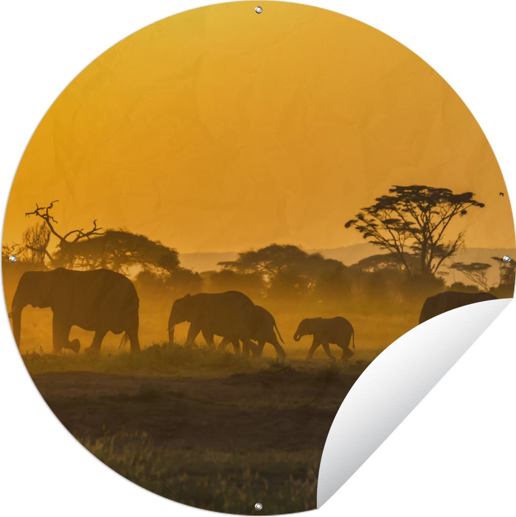 MuchoWow Gartenposter Outdoor-Poster Rund Elefant - Tier - Orange Ø 150 cm Gartendeko Rundes Poster draußen