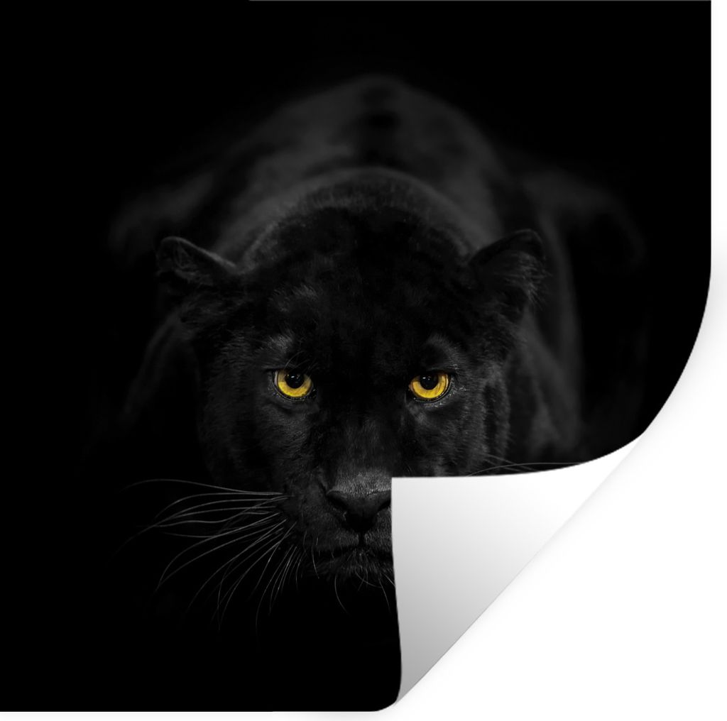 MuchoWow Wandtattoo Wandsticker Wandaufkleber Leopard - Augen - Schwarz 30x30 cm Selbstklebend und Repositionierbar - Repositionierbar - Wasser a...