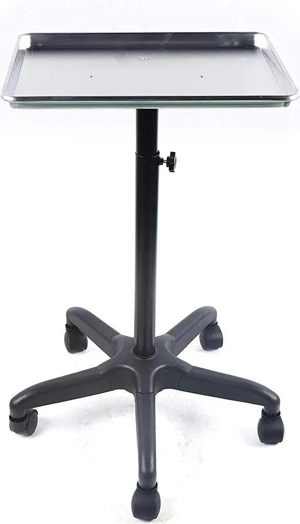 Station de plateau à roulettes en métal Argent 45cm Support de service Pro