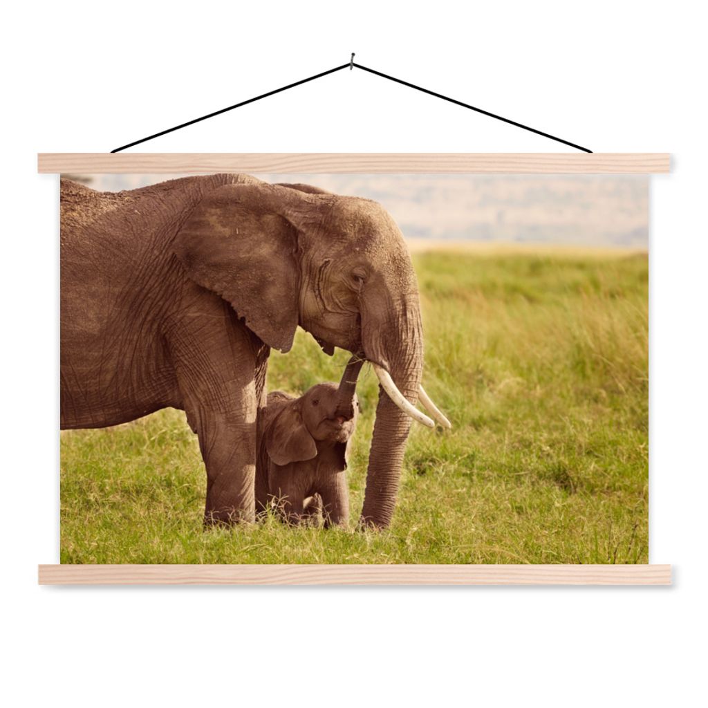 MuchoWow Textilposter Elefant - Gras - Jung - Rüssel 60x40 cm mit holzfarbenen Rahmen - Bilder
