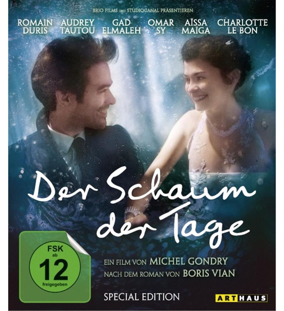 Der Schaum der Tage