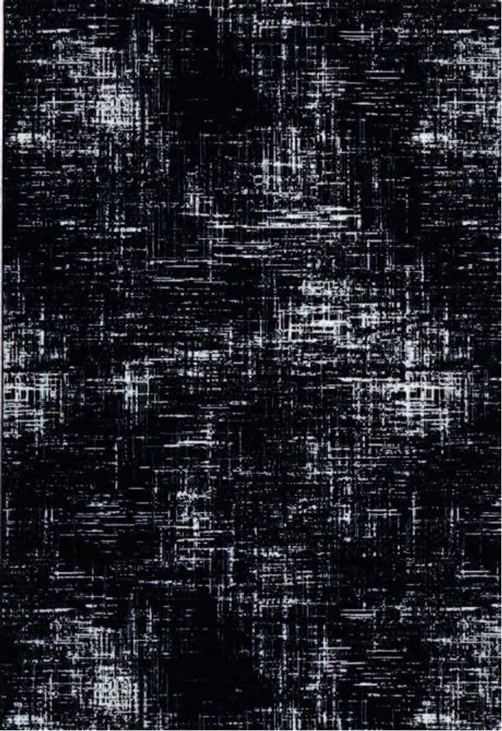 Tapis de Salon Ink 46304/AF900 - Texture Douce et Résistante 80x140 cm