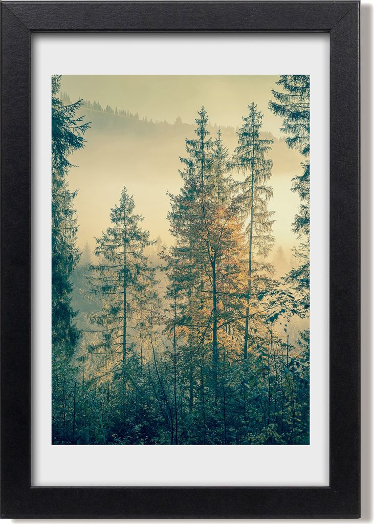 Bild 20x30 MDF-Rahmen, Wandkunst Nebel über dem Wald