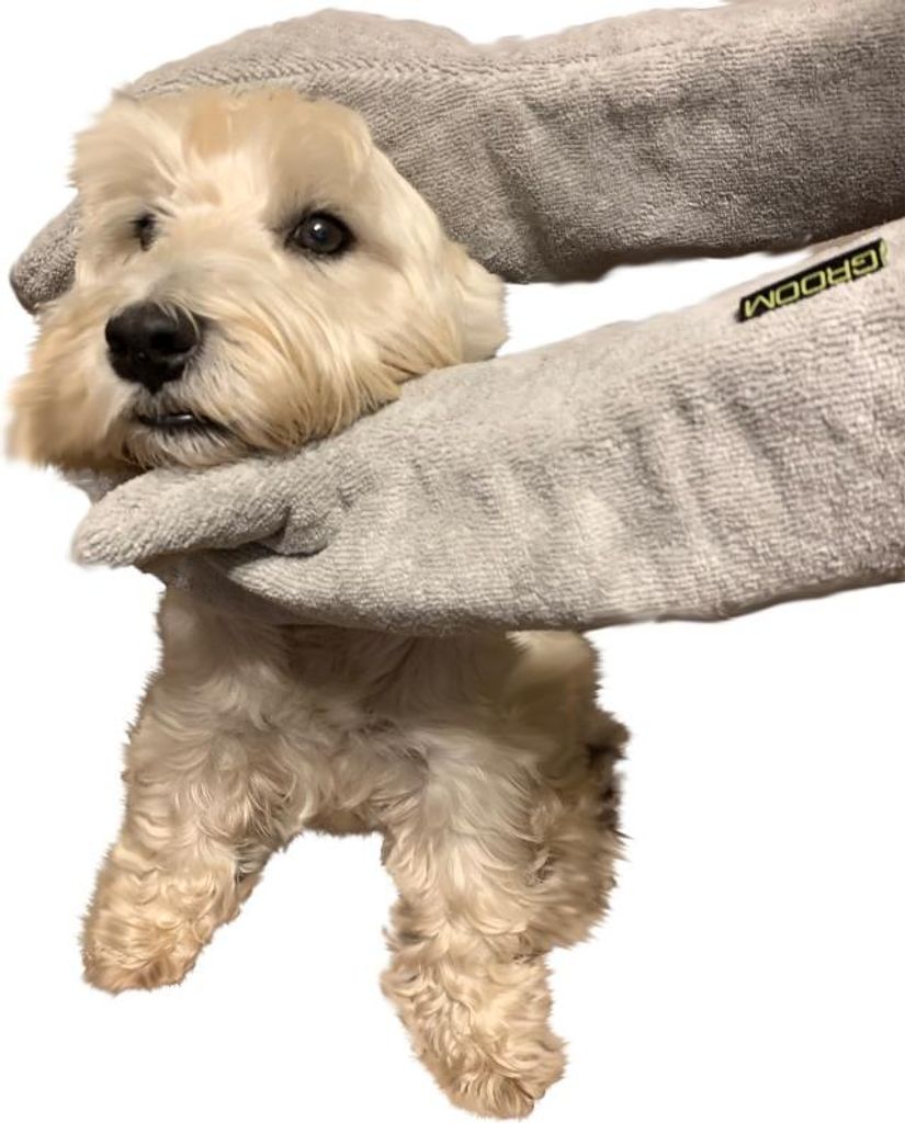 Groom Rub Down Mitts - Handtücher zum Trocken von Hunden happypet