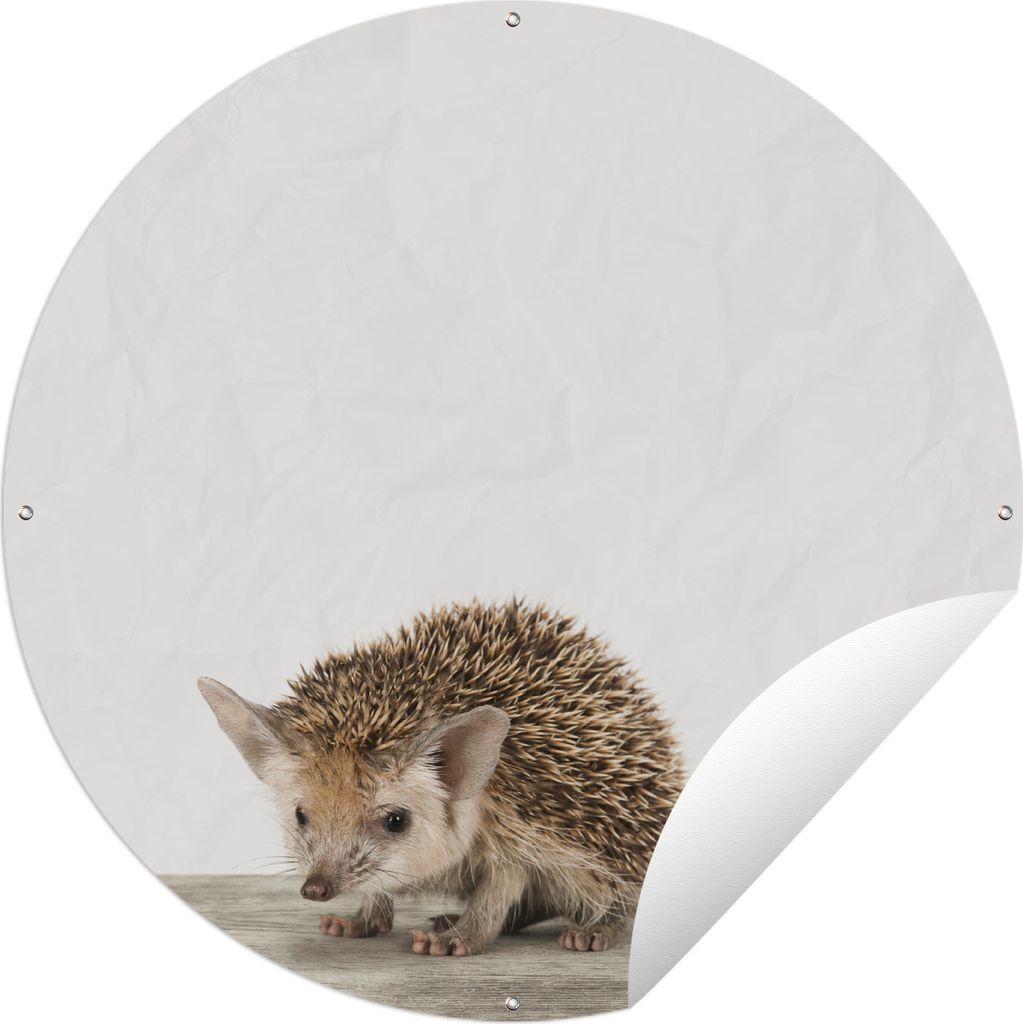 MuchoWow Gartenposter Outdoor-Poster Rund Tiere - Igel - Baby Ø 120 cm Gartendeko Rundes Poster draußen