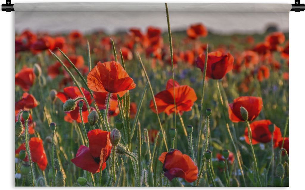 MuchoWow Wandteppich Wandbehang Blumen - Mohnblumen - Natur - Rot 90x60 cm Tapisserie Dekoration Wandtuch - Wandskulpturen - Bildteppich