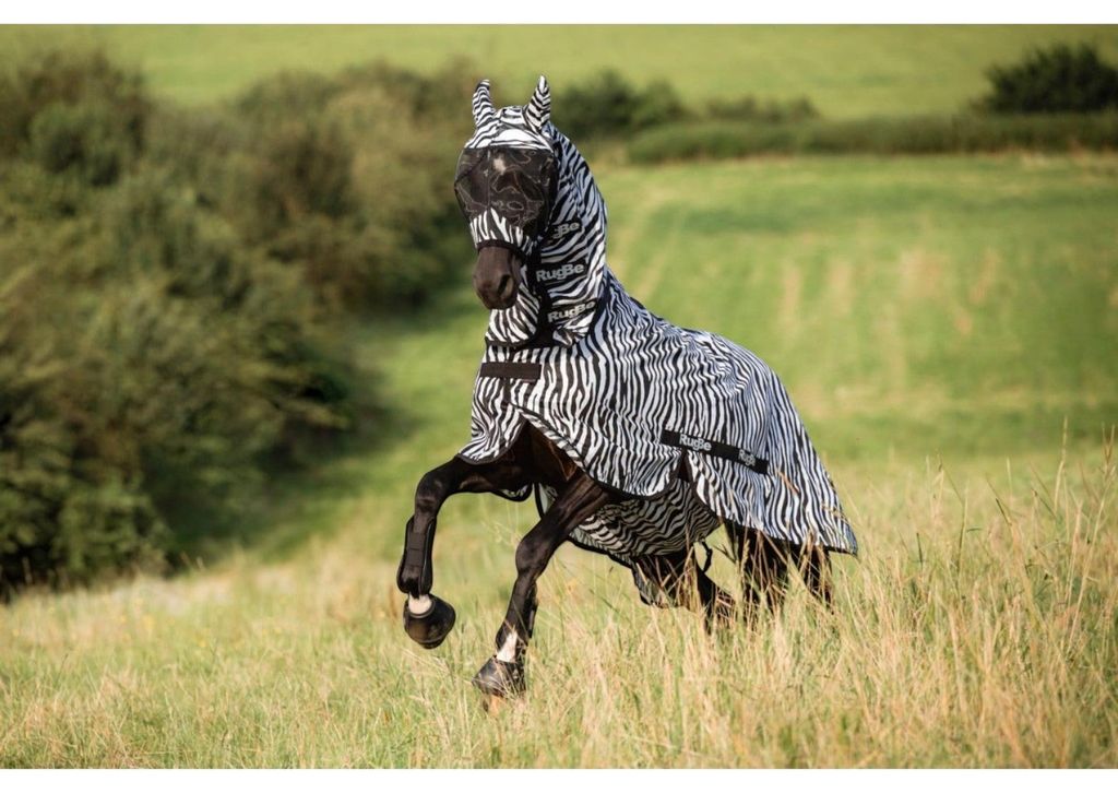 Covalliero Pferde Fliegendecke RugBe Zebra, inkl. Halsteil, Immagine del prodotto 