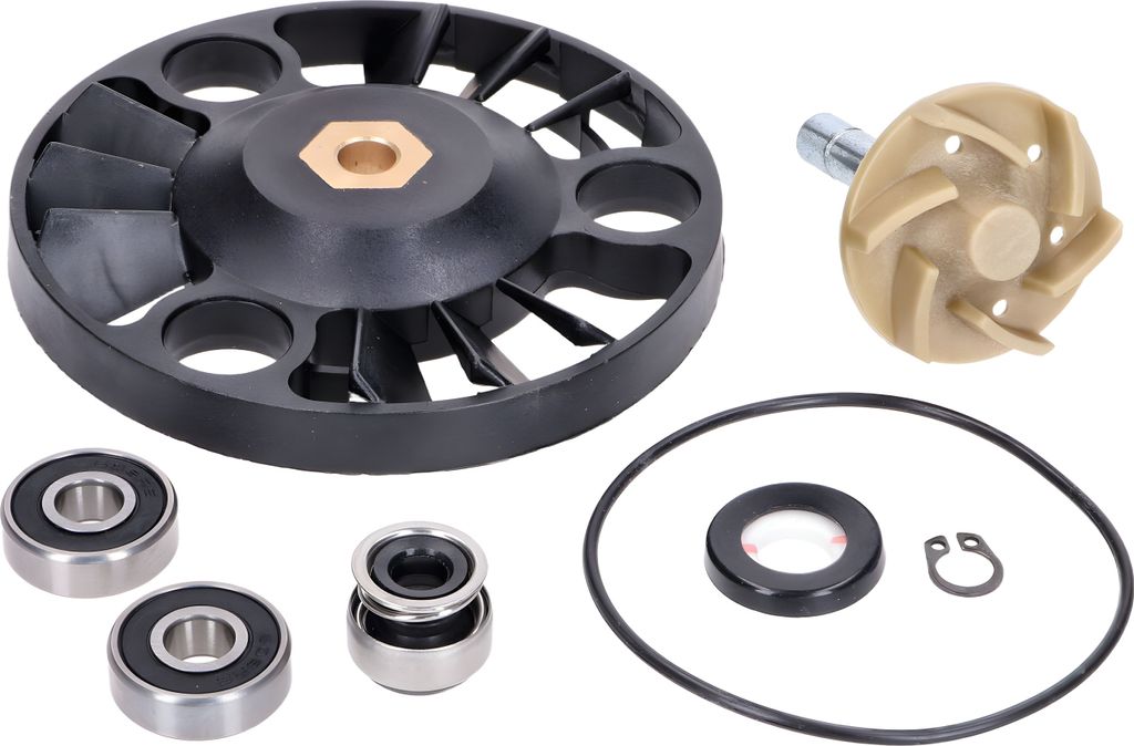 Reparaturkit Wasserpumpe 101_Octane einteilige Welle, 100110070 für Aprilia, Gilera, Piaggio, Vespa 125-200ccm 4T 2001-2006