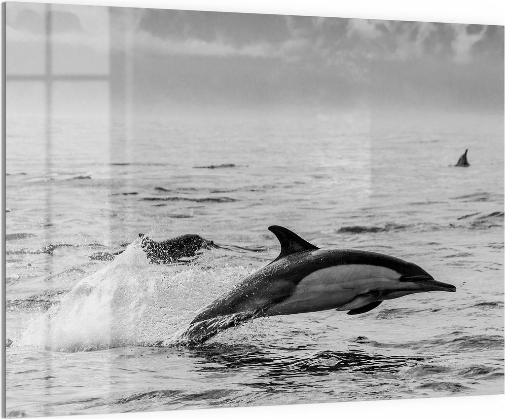 DEQORI Magnettafel Glas 120x90 cm 'Freie Sprünge' beschreibbar Whiteboard Pinnwand Küche