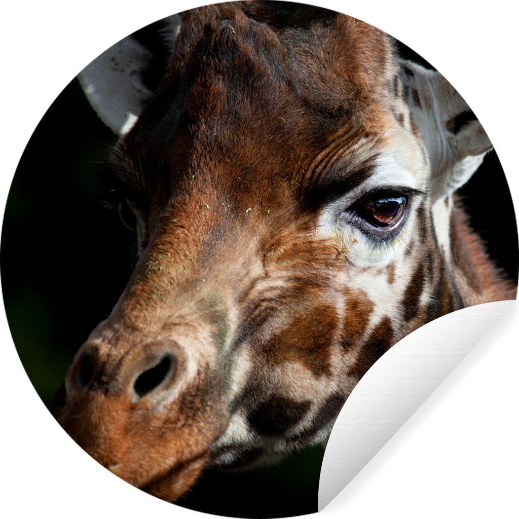 MuchoWow Runde Wandtattoo - Wandsticker Tapete Aufkleber Giraffe - Leicht - Schwarz Ø 30 cm Selbstklebend und Repositionierbar - Wandaufkleber -...