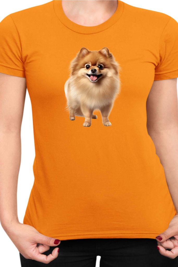 Damen T-Shirt Dogs Breeds Pomeranian Dog Breed 005, Lady 2XL / Orange