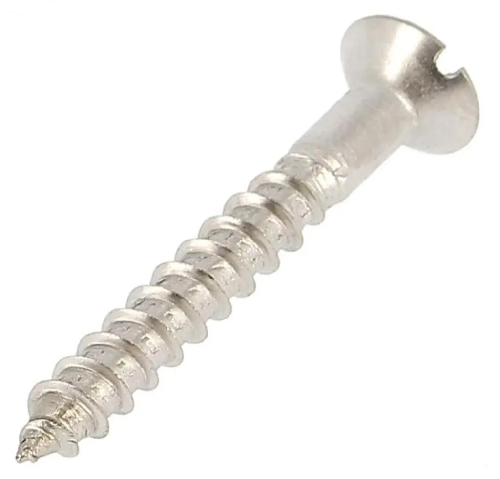 Vis à Bois Inox A2 DIN 95 2.5x12 mm à Tête Bombée Fendue Haute Qualité