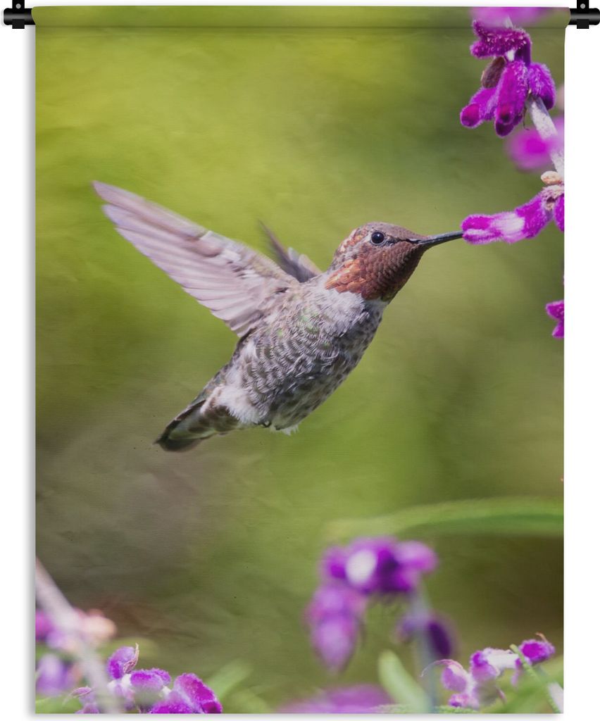 MuchoWow Wandteppich Wandbehang Kolibri - Vogel - Natur 90x120 cm Tapisserie Dekoration Wandtuch - Wanddeko