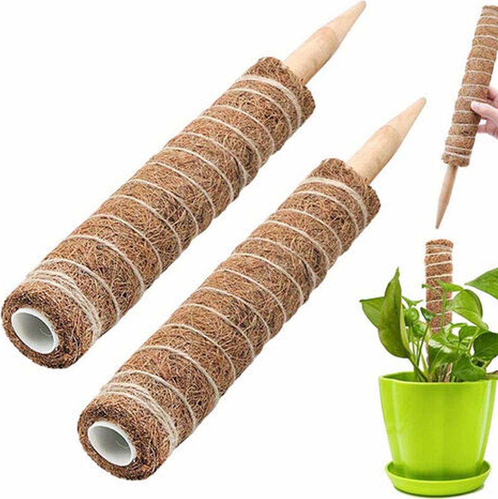 Stützstab für Kletterpflanzen, 30 cm, 2 Stück Produktbild 