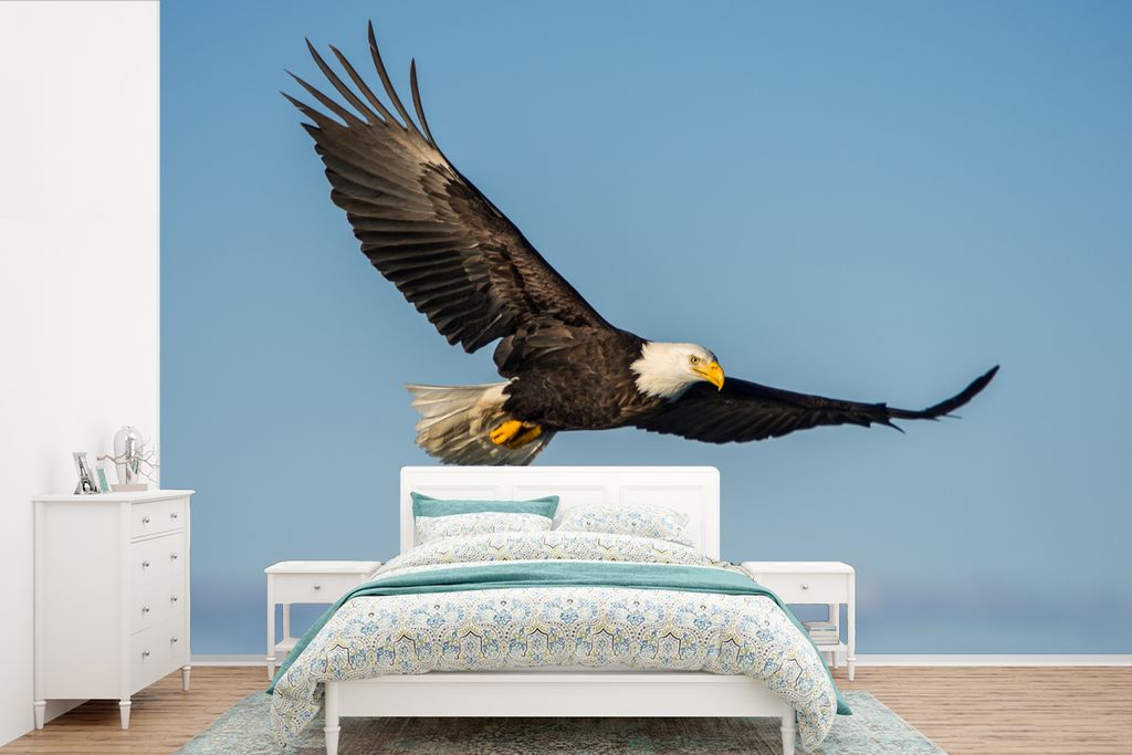 MuchoWow Fototapete für Wohnzimmer oder Schlafzimmer Wandtapete Vinyl Motivtapete Vogel - Adler - Raubvögel - 360x240 cm - Vinyl-Tapete
