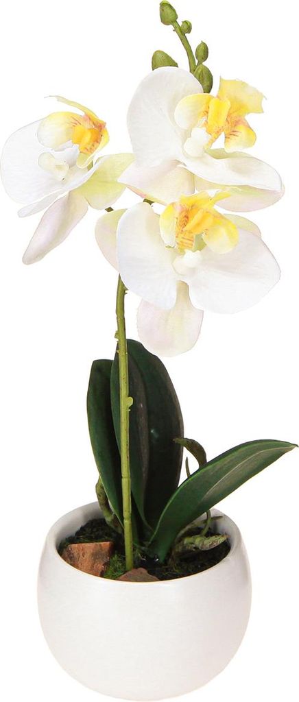 Kunstpflanze Orchideen im Keramiktopf für elegante Raumdekoration