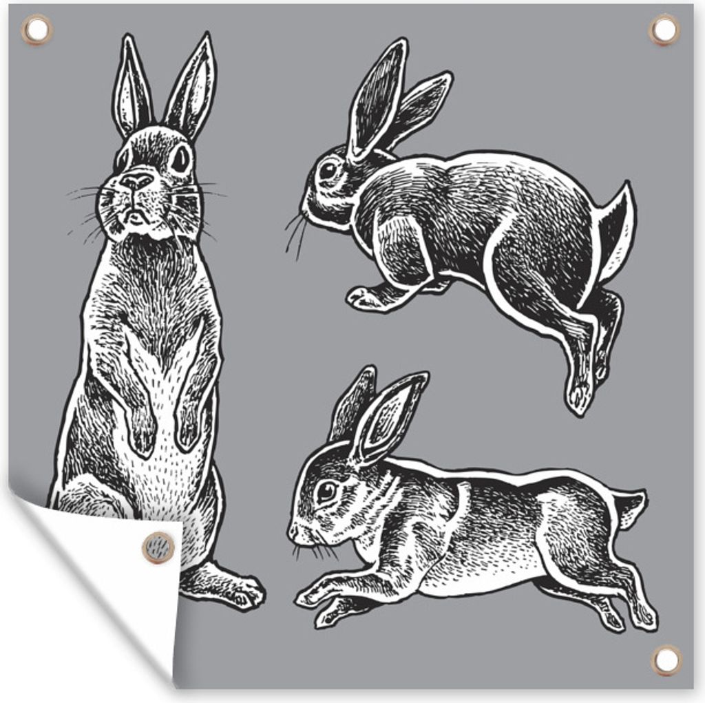 MuchoWow 100x100 cm Outdoor-Poster Gartendeko Sichtschutz Garten Poster für den Garten Drei Kaninchen in verschiedenen Positionen