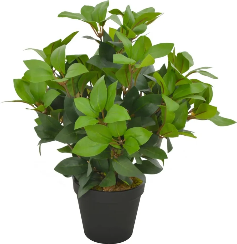Pianta Finta Alloro 40 cm con Vaso - Prezzo Top, Manutenzione Zero