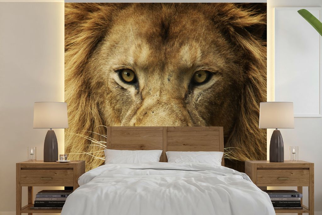 MuchoWow Fototapete für Wohnzimmer oder Schlafzimmer Wandtapete Vinyl Motivtapete Afrikanischer Löwe Porträt - 280x280 cm - Hintergrundbild