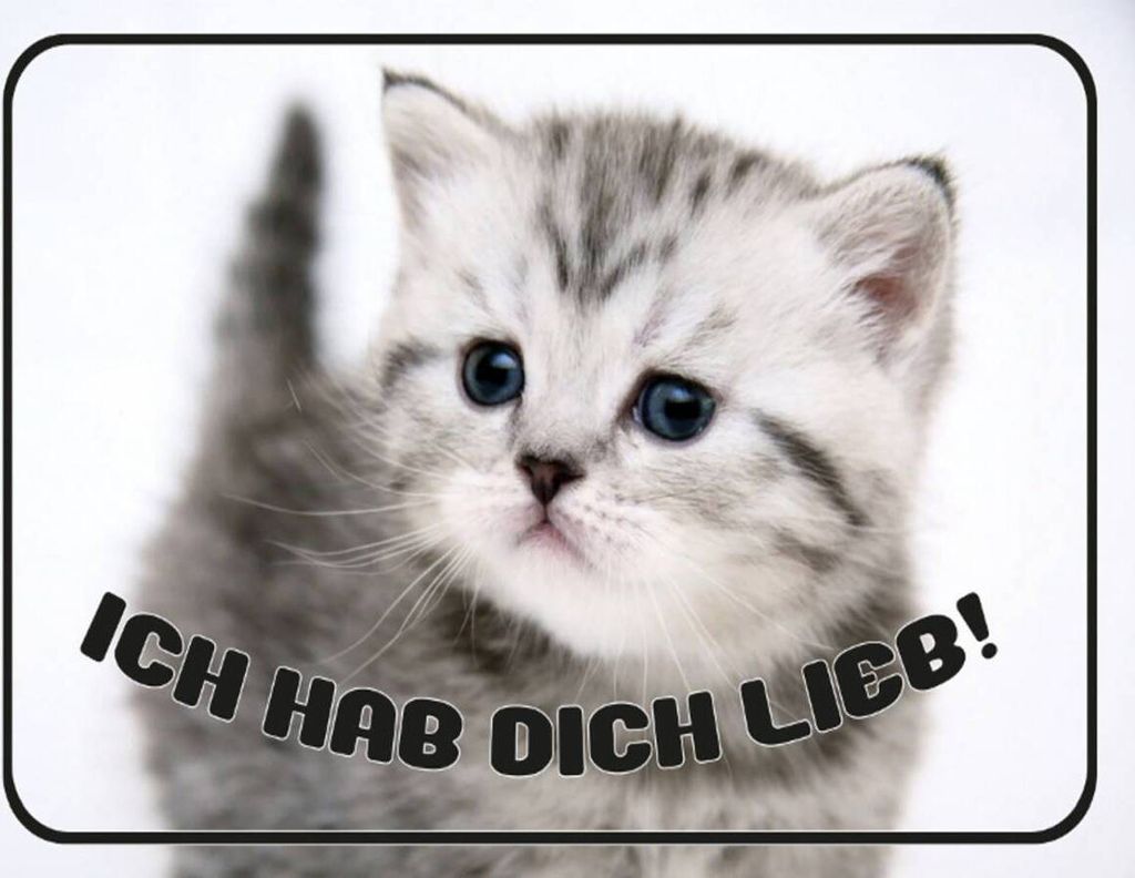 vianmo Holzschild 30x40 cm Katze ich hab dich lieb Produktbild 