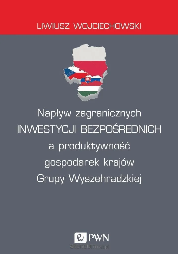 Libro Wojciechowski Investimenti Diretti Visegrad - Spedizione Rapida