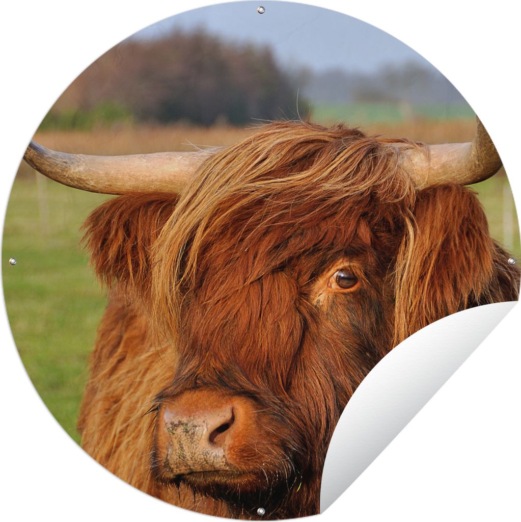 MuchoWow Gartenposter Outdoor-Poster Rund Schottischer Highlander - Gras - Baum Ø 60 cm Gartendeko Rundes Poster draußen