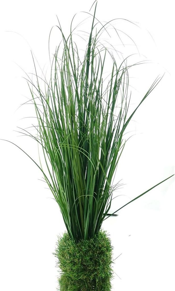 DPI Gras aus dem Gras 44 cm - Kunstblumen
