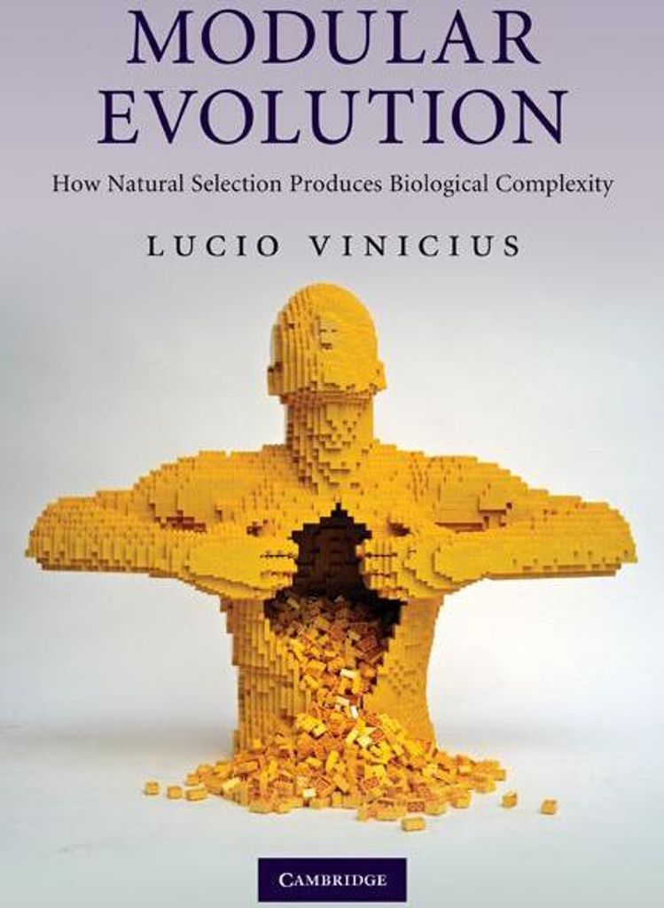 Modular Evolution