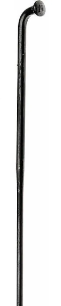 Rayon robuste DT Swiss Champion 2.0 VE100 noir 302 mm en acier inoxydable